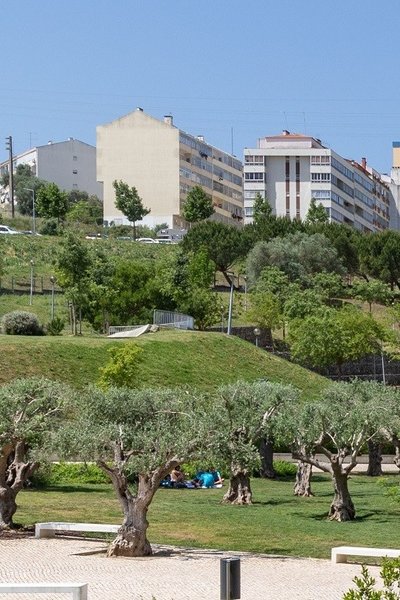contos___jardim_de_sta_sofia_vila_franca_de_xira_vc_7183