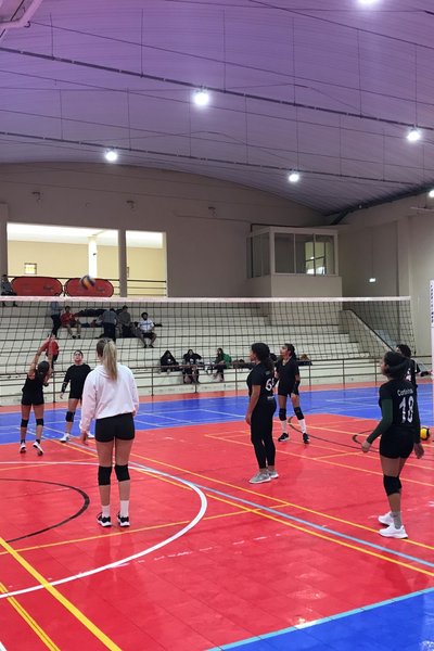 voleibol