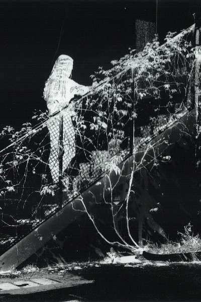 exposicao_de_fotografia_intitulada__project_art__