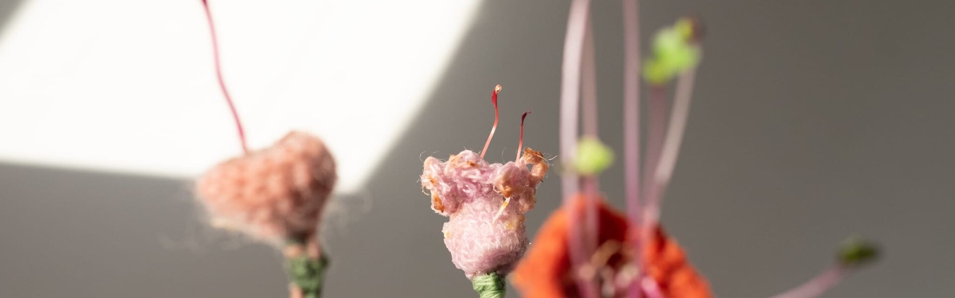 workshop_inauguracao_imagem