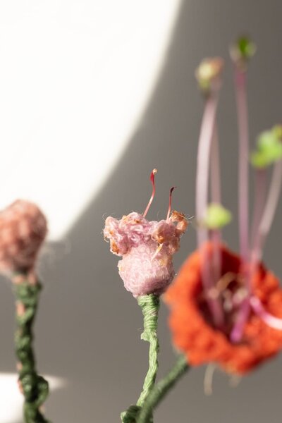 workshop_inauguracao_imagem