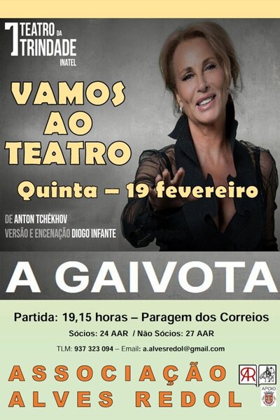 vamos_ao_teatro___a_gaivota