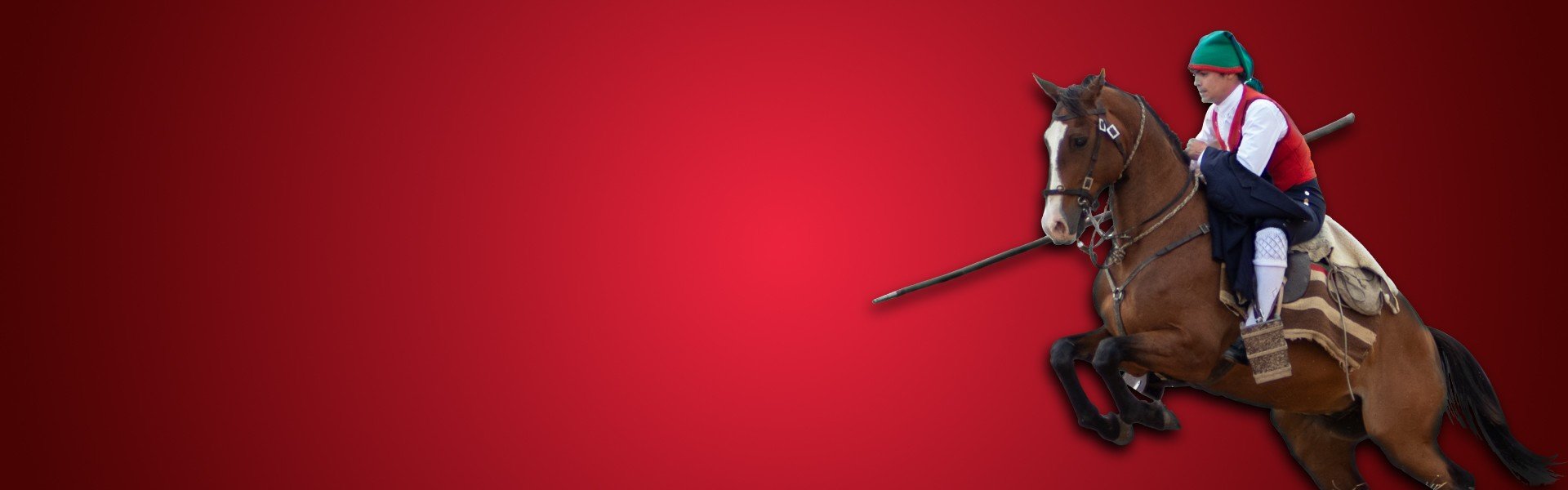 ce25_1920x600p