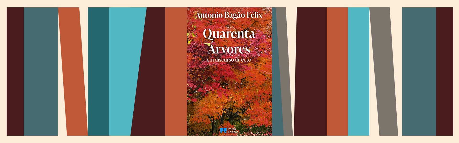 agenda_1920x600_27set_set25_bagaofelix_fp