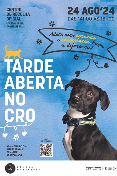 cartazdiaanimalabandonado_af