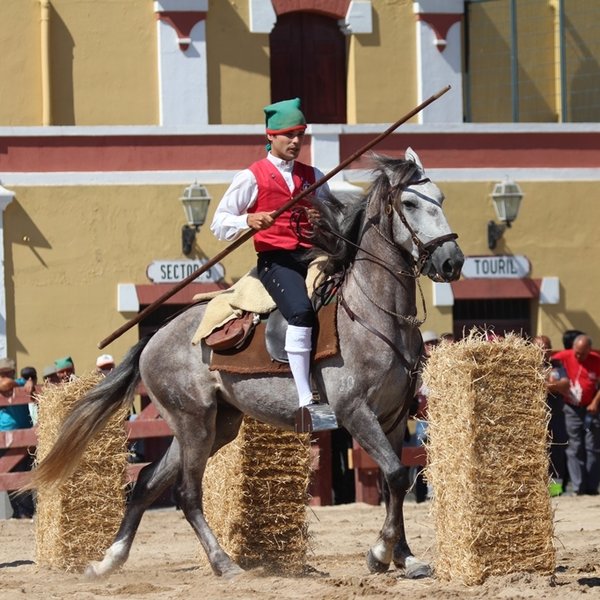 Corrida de Campinos