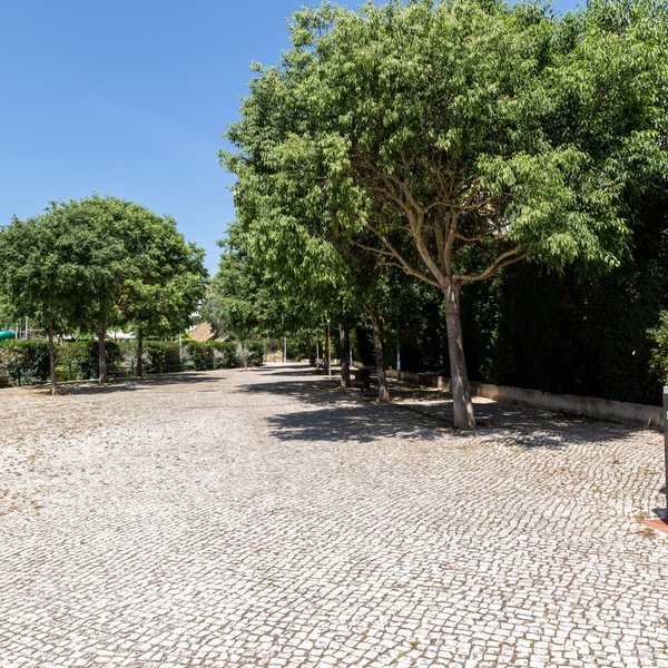 jardim_de_sta_sofia_vila_franca_de_xira_vc_7142_min