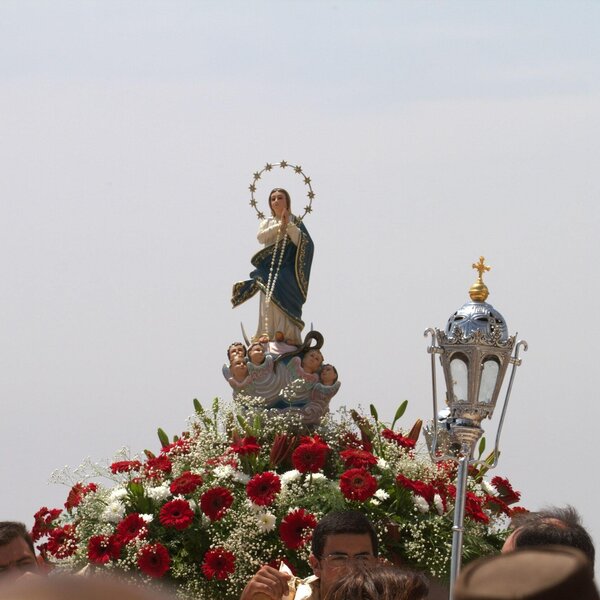 img_5981_m_mestre_min_1_2500_2500