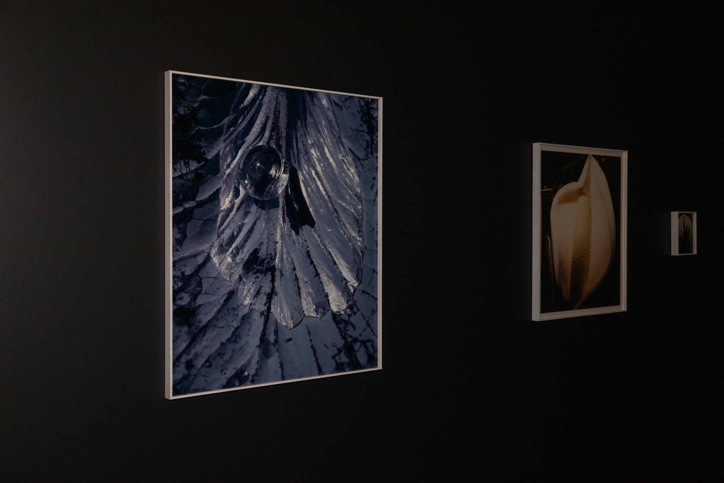 2a_fase_programa_curatorial_bf24___is_1579