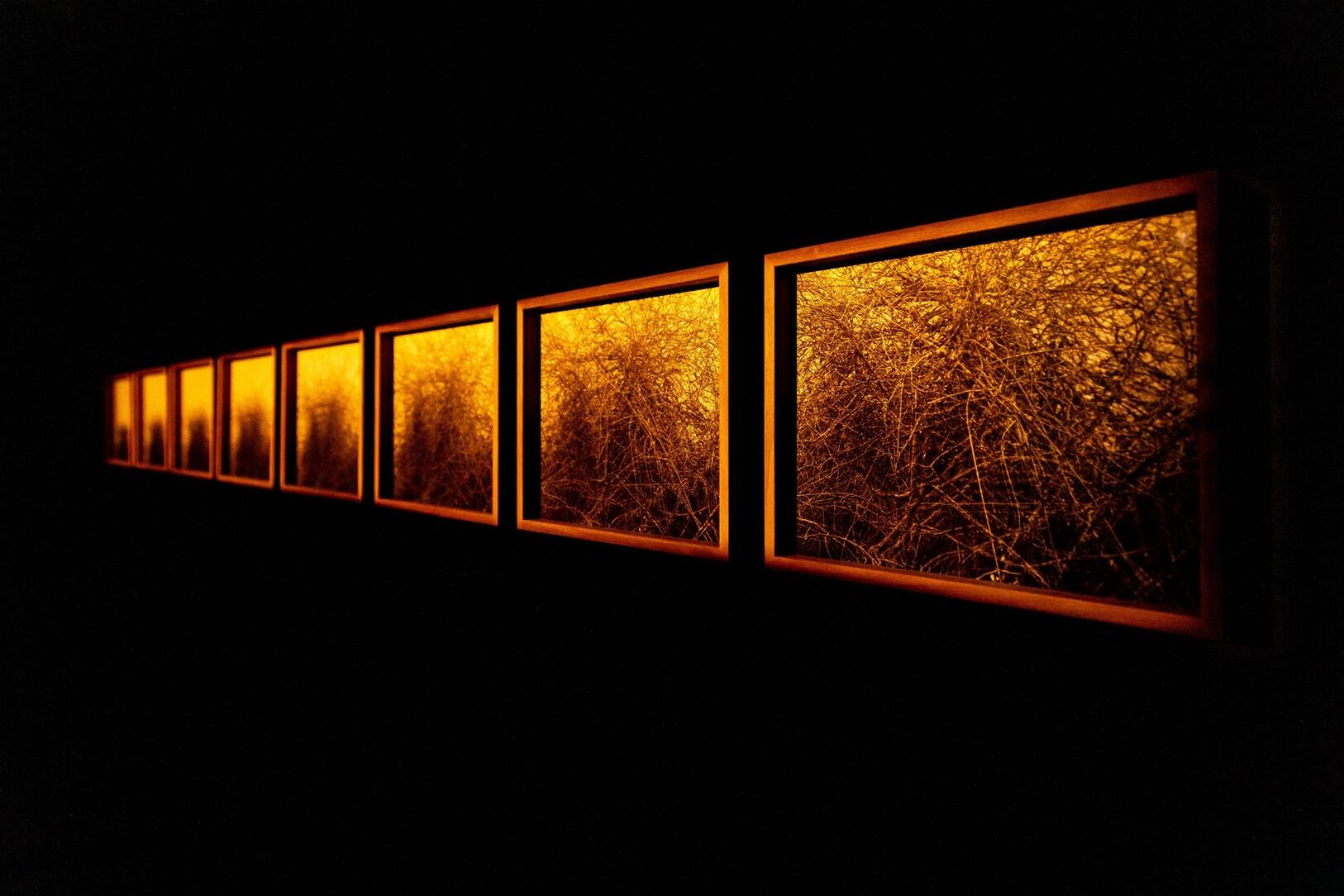 Visitas Guiadas à BF24 – Bienal de Fotografia de Vila Franca de Xira ...