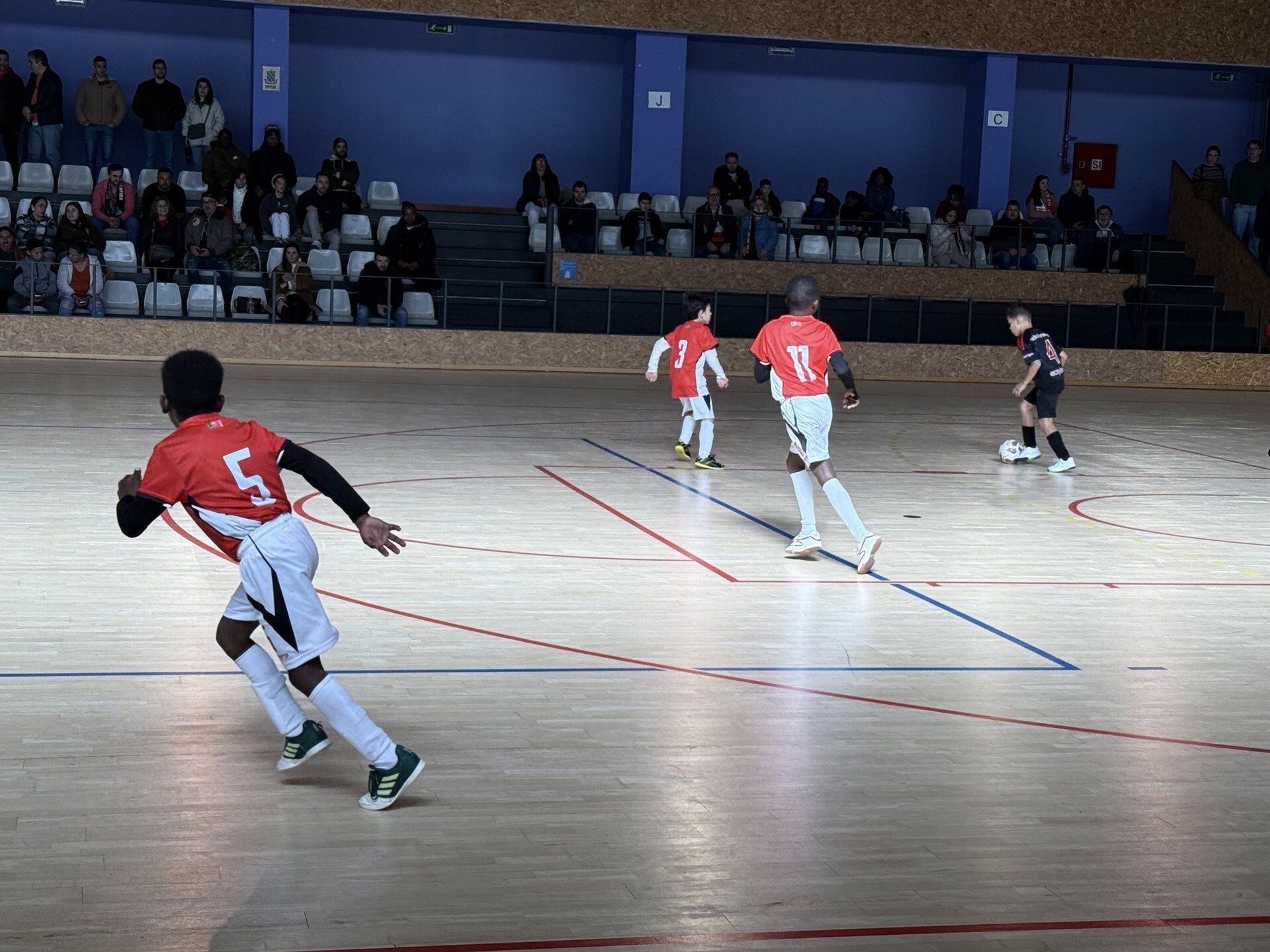 img_7317_1_2500_2500