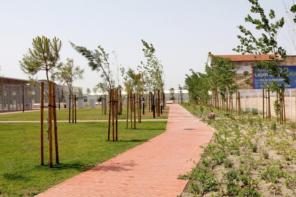 img_7653_v_cartaxo_8_06_2018_1_2500_2500