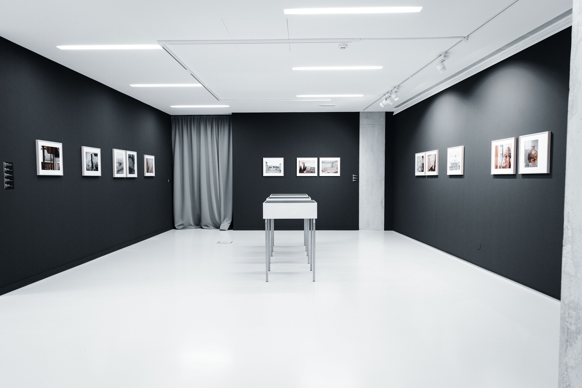 54984400387_cd8c8255c8_o