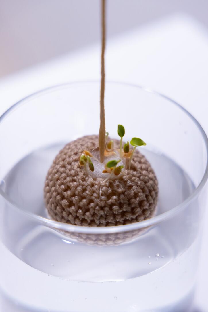 expo____workshop__nature_doesn_t_draw_____em_6702