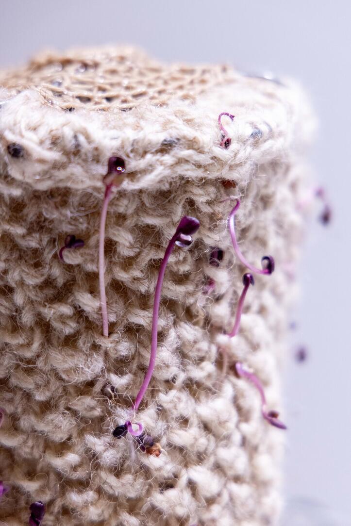 expo____workshop__nature_doesn_t_draw_____em_6696