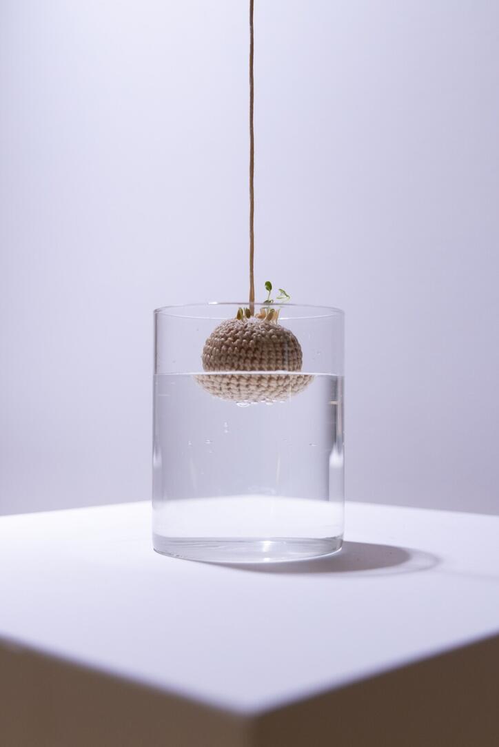 expo____workshop__nature_doesn_t_draw_____em_6704