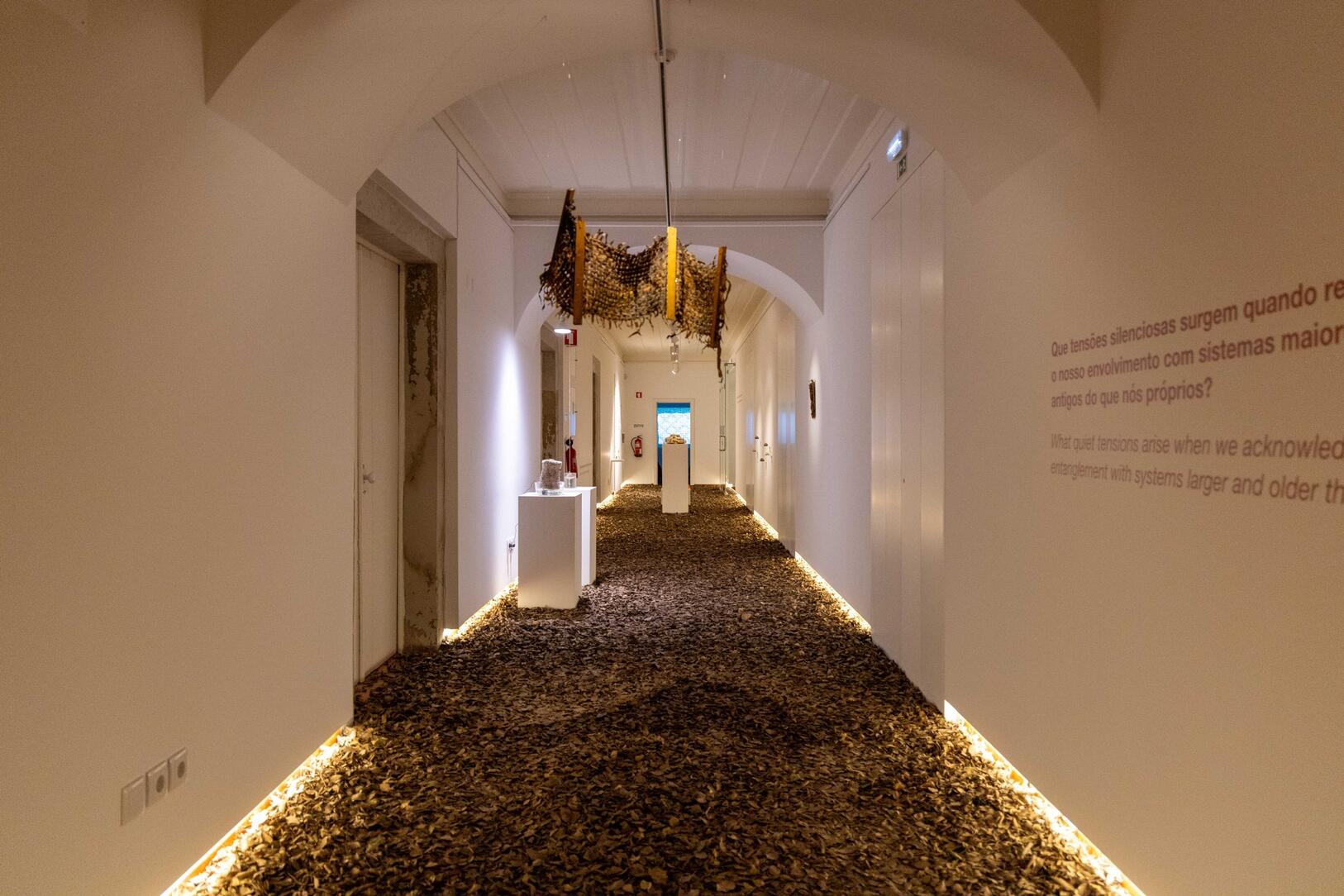 expo____workshop__nature_doesn_t_draw_____em_6690