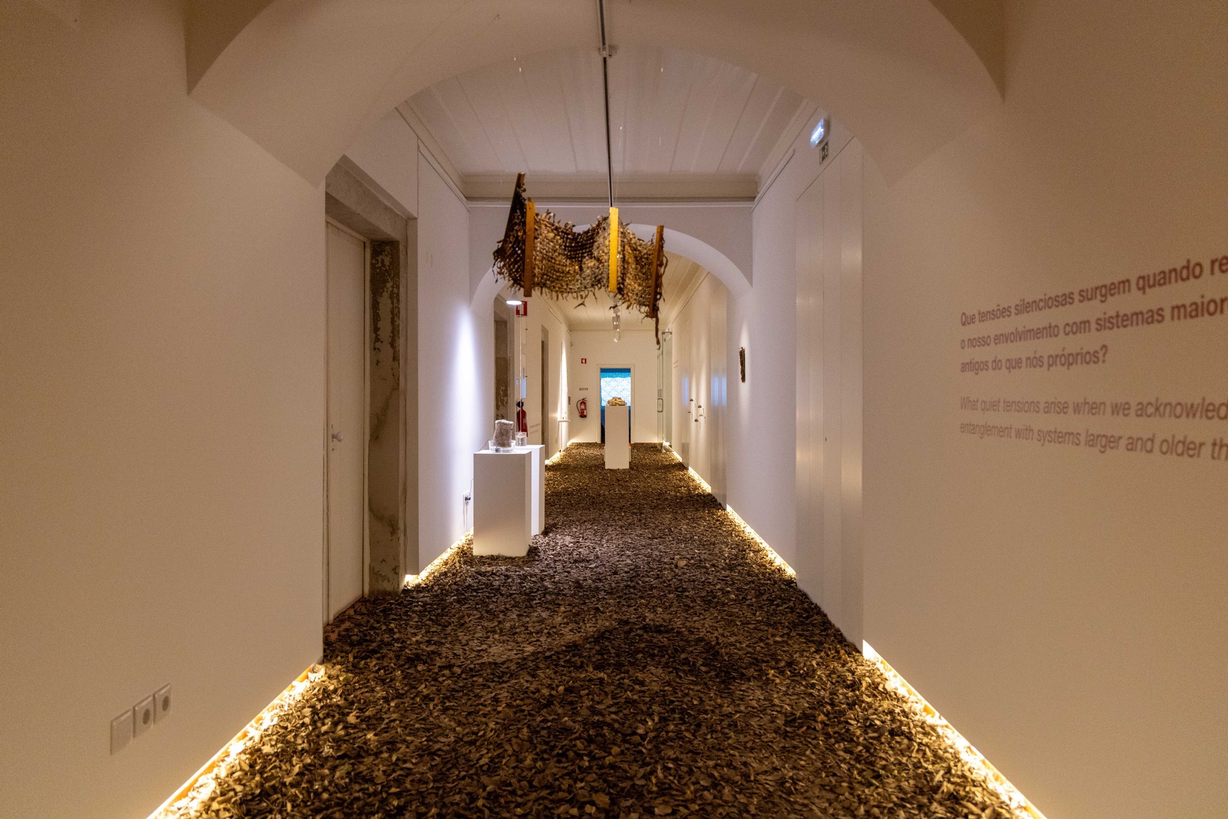 expo____workshop__nature_doesn_t_draw_____em_6690