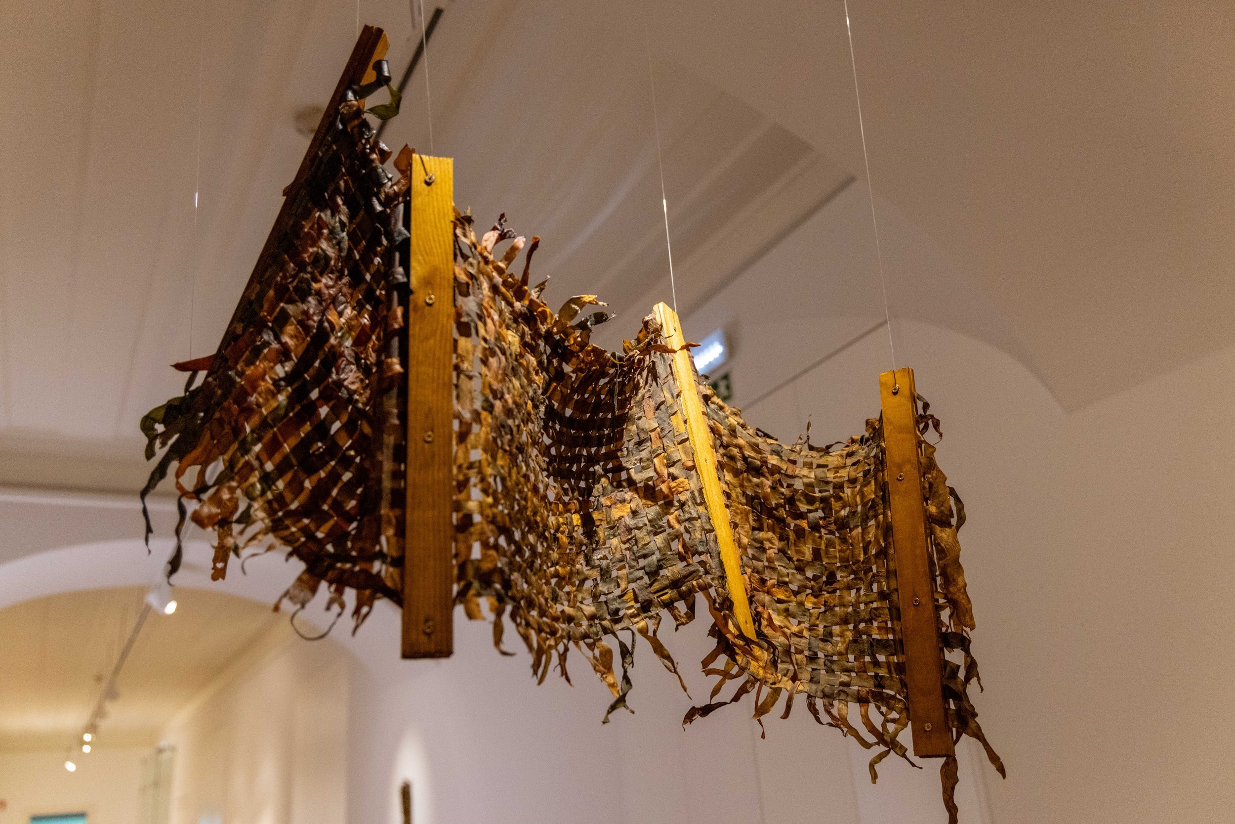 expo____workshop__nature_doesn_t_draw_____em_6695