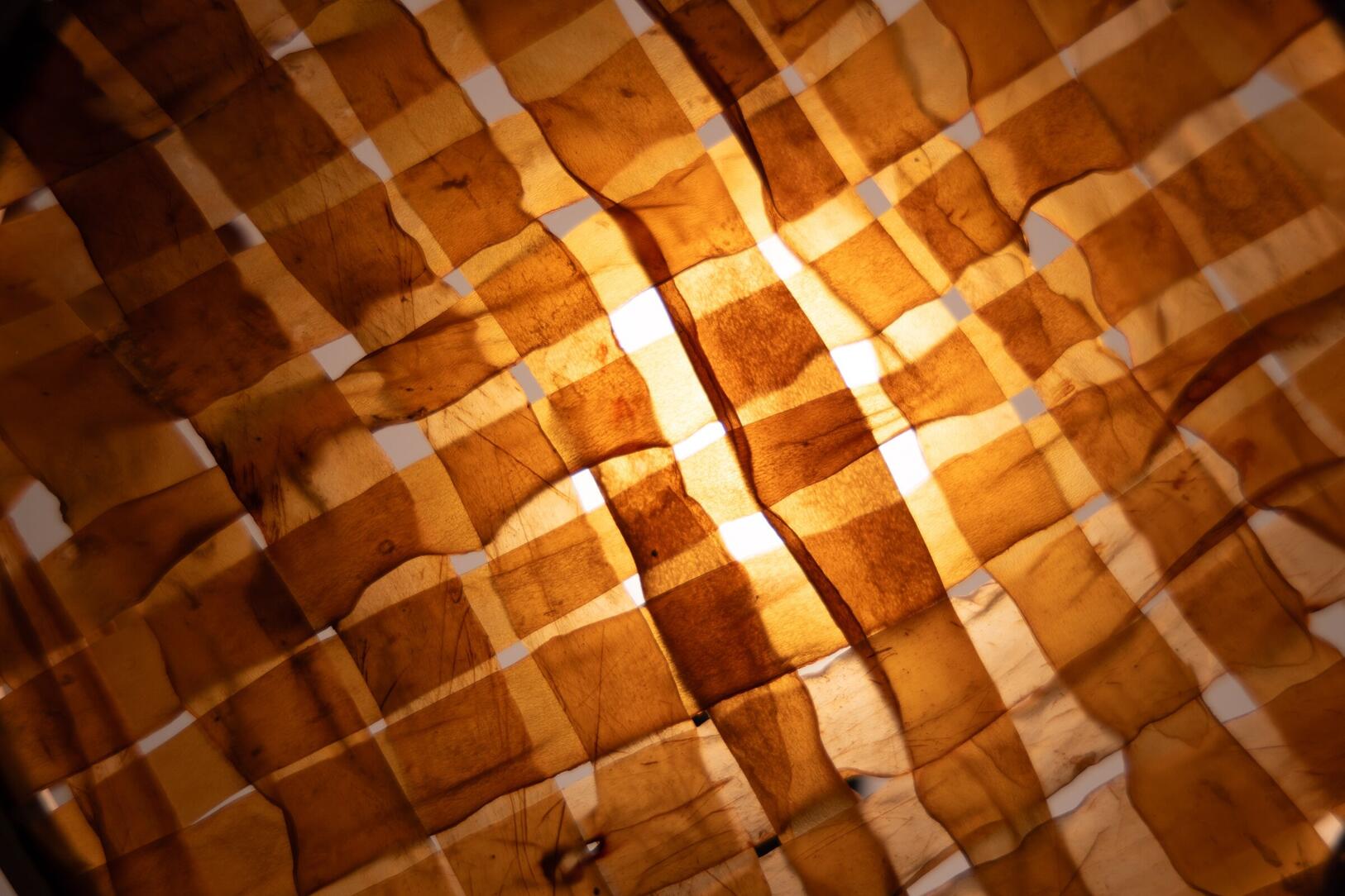 expo____workshop__nature_doesn_t_draw_____em_6708