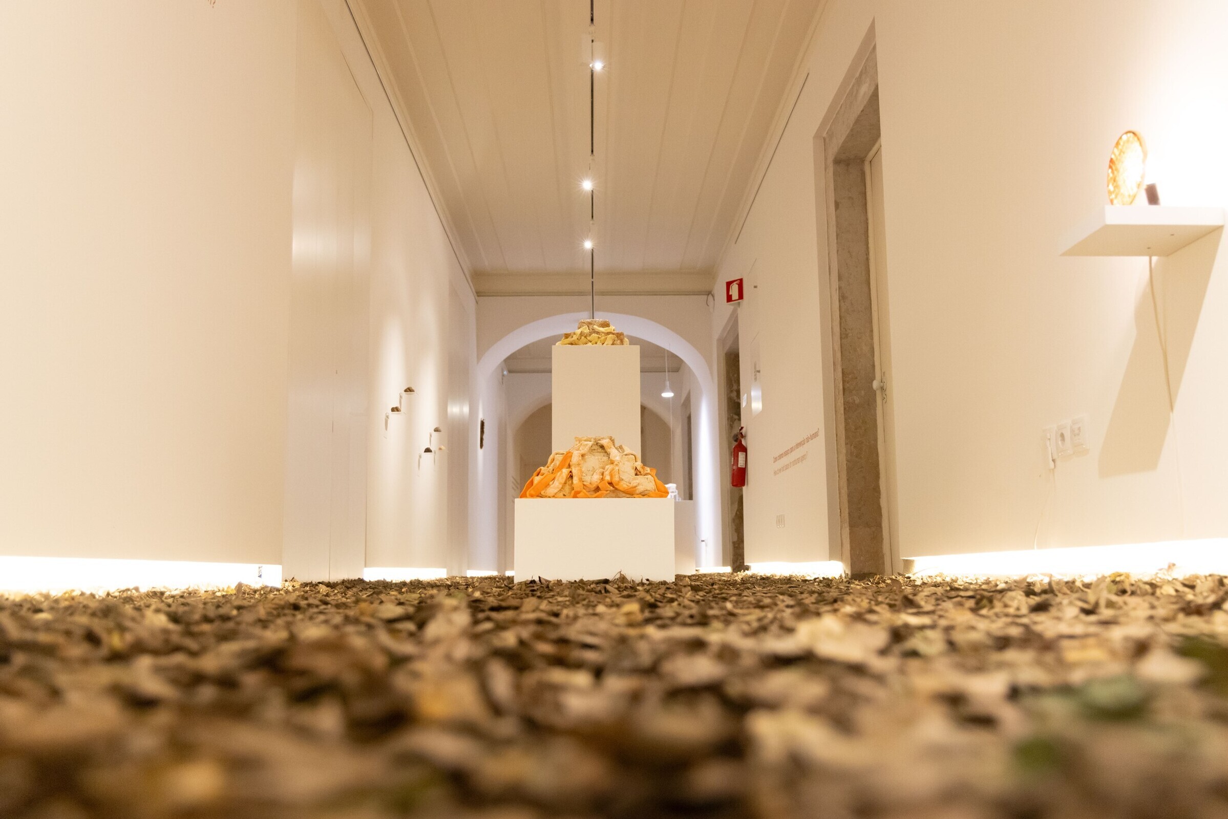 expo____workshop__nature_doesn_t_draw_____em_6722