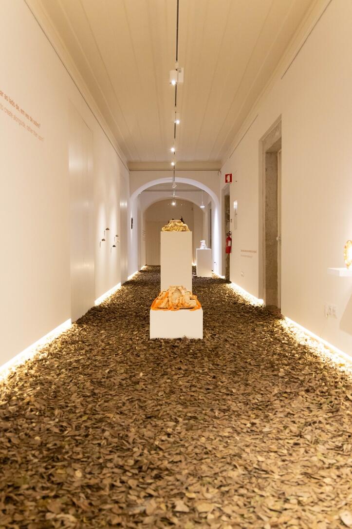 expo____workshop__nature_doesn_t_draw_____em_6719