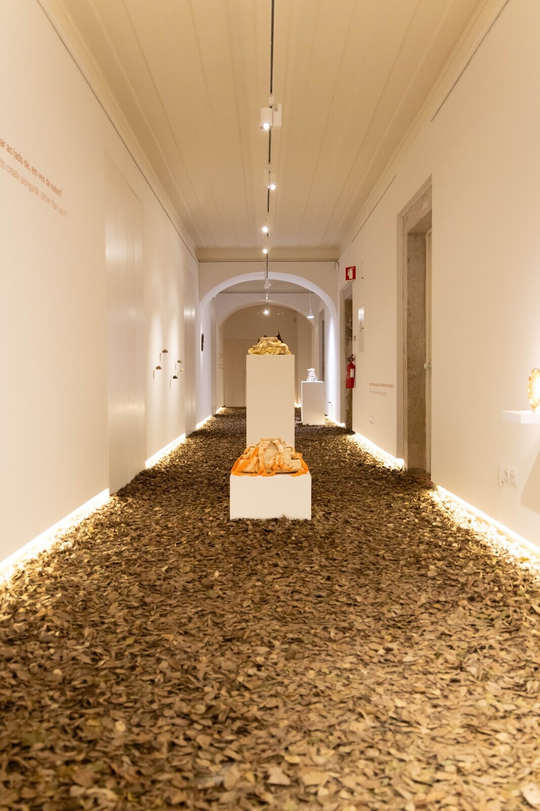 expo____workshop__nature_doesn_t_draw_____em_6719