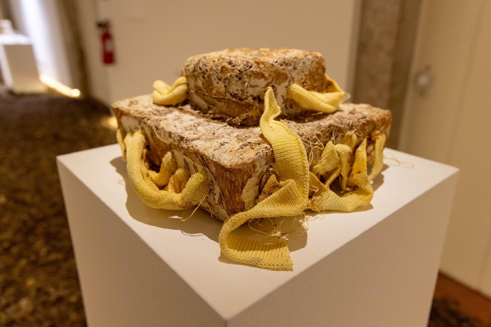 expo____workshop__nature_doesn_t_draw_____em_6726