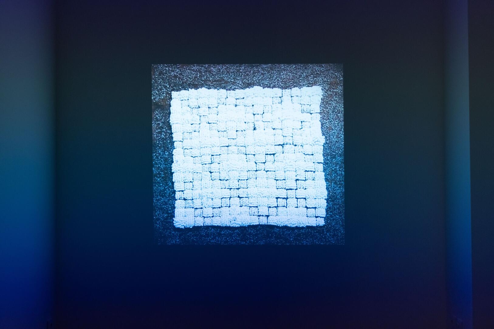 expo____workshop__nature_doesn_t_draw_____em_6725