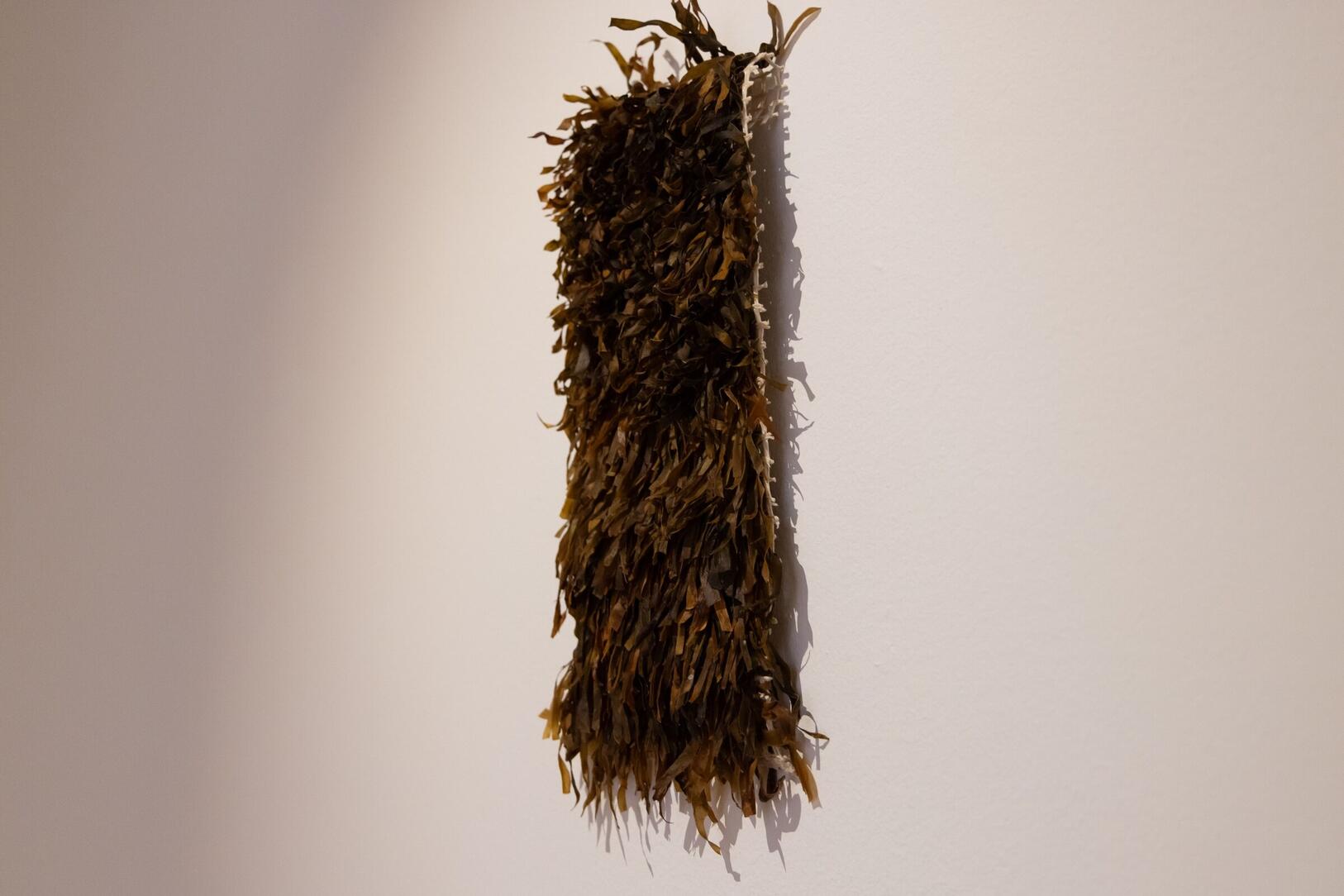 expo____workshop__nature_doesn_t_draw_____em_6745