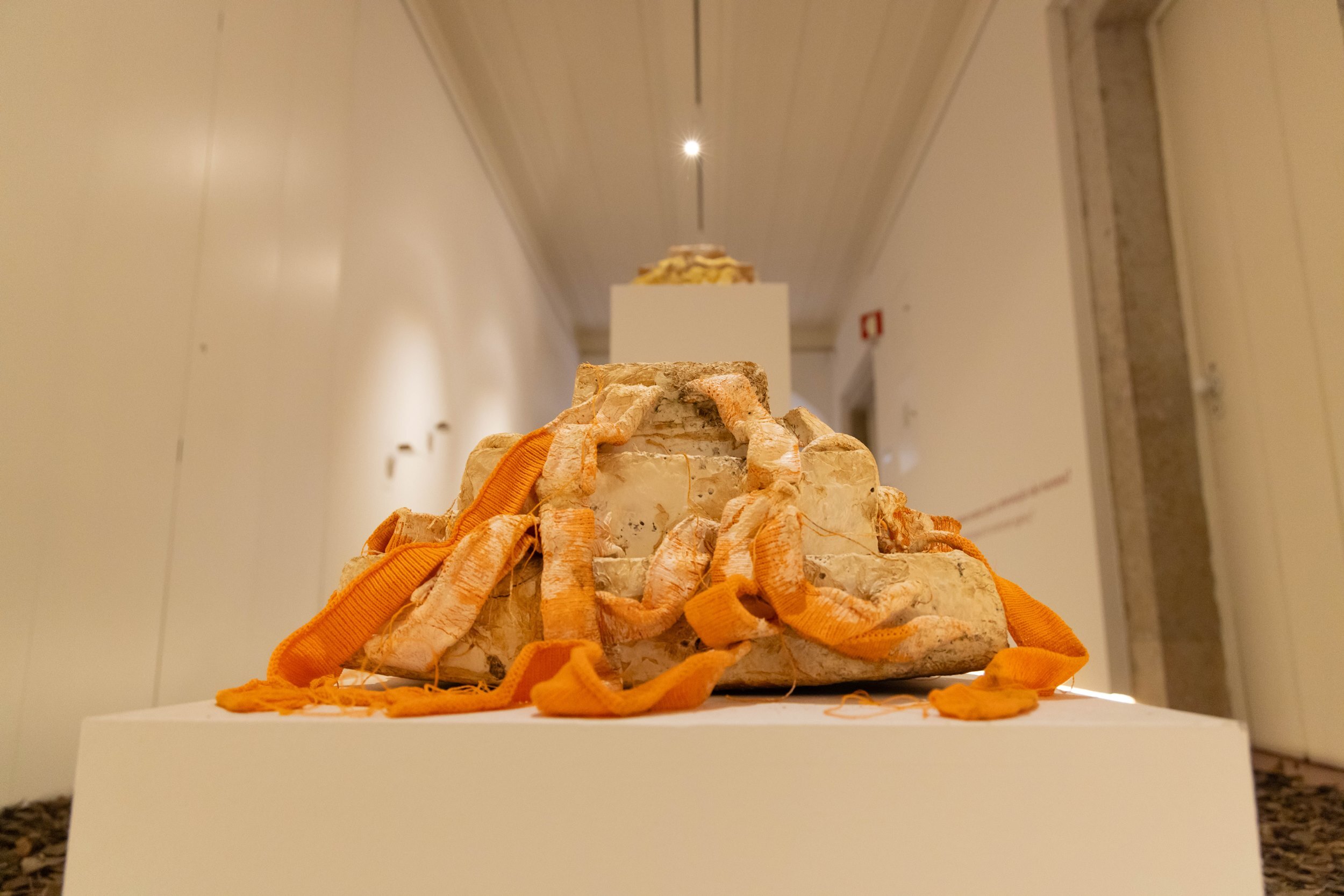 expo____workshop__nature_doesn_t_draw_____em_6733