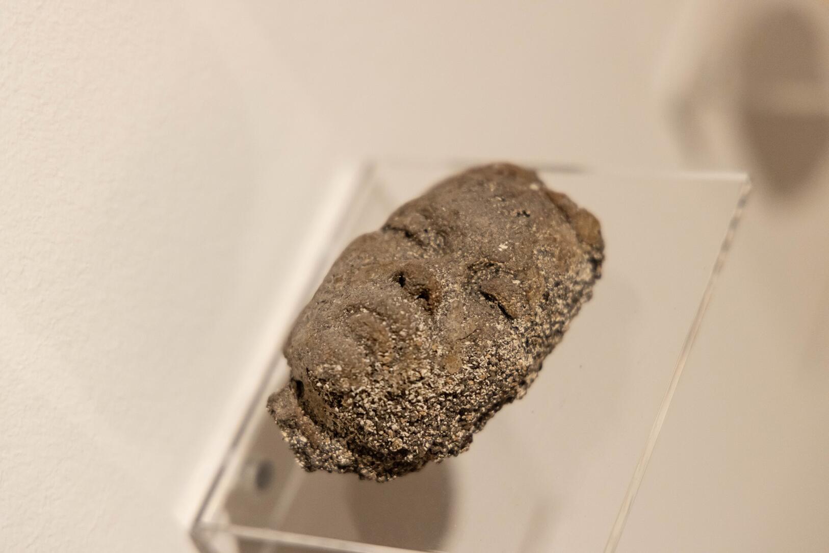 expo____workshop__nature_doesn_t_draw_____em_6739