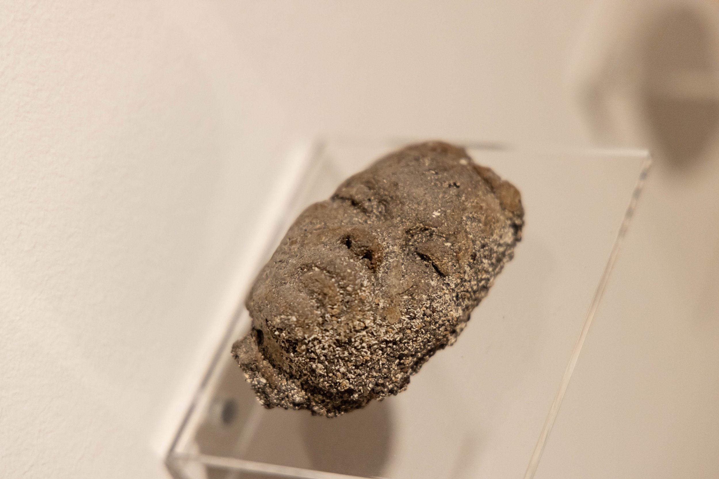 expo____workshop__nature_doesn_t_draw_____em_6739