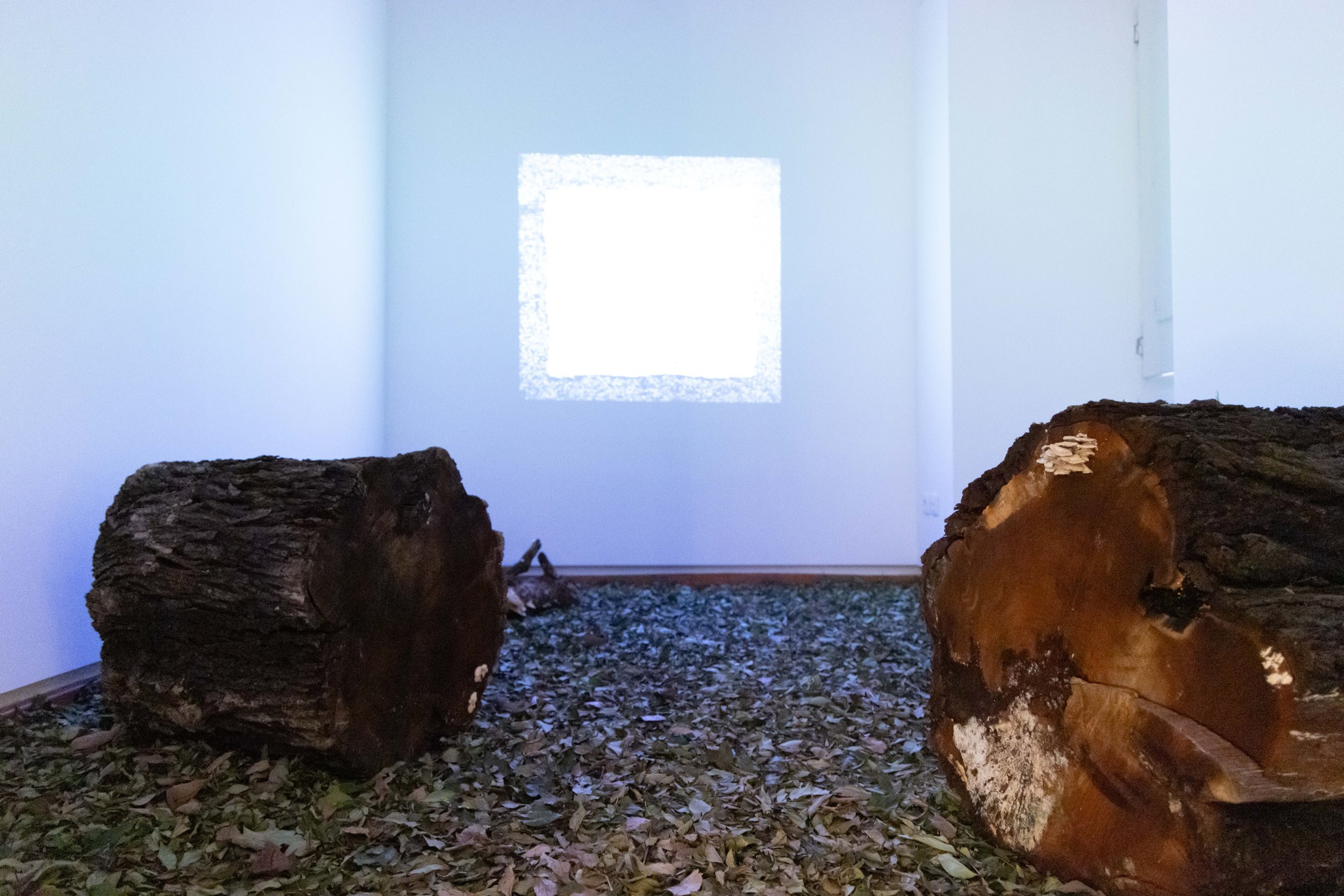 expo____workshop__nature_doesn_t_draw_____em_6749