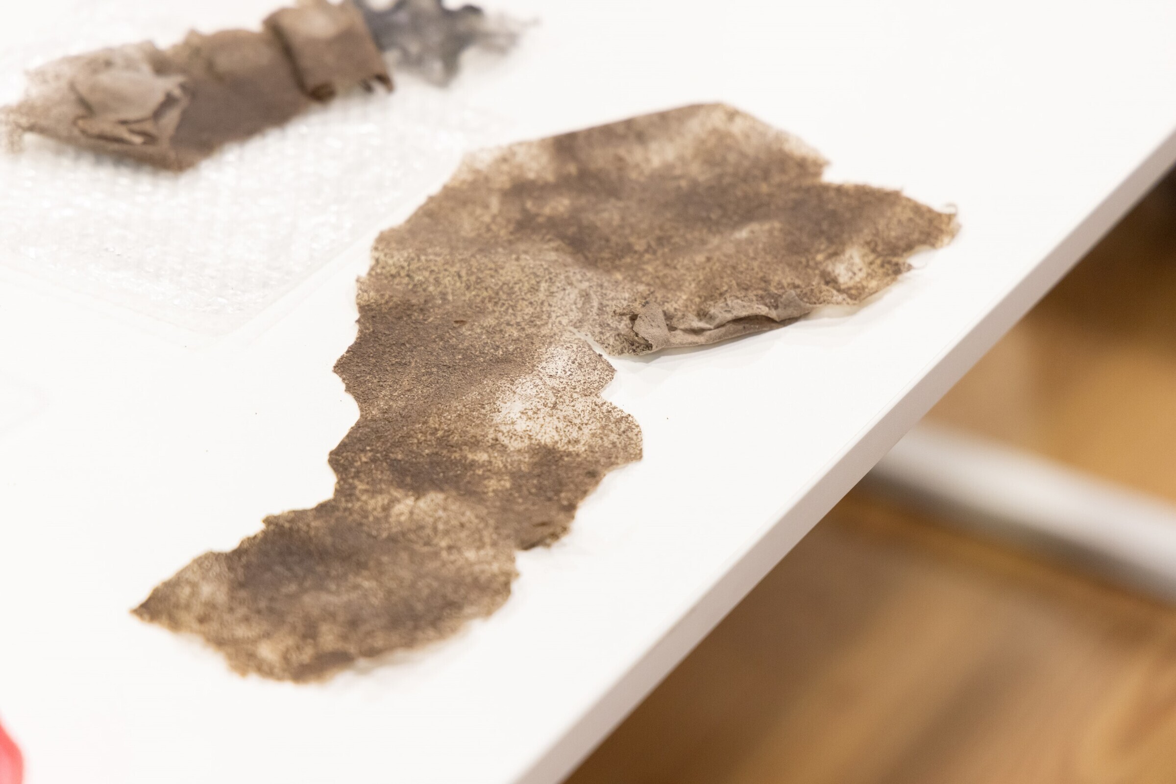 expo____workshop__nature_doesn_t_draw_____em_6768