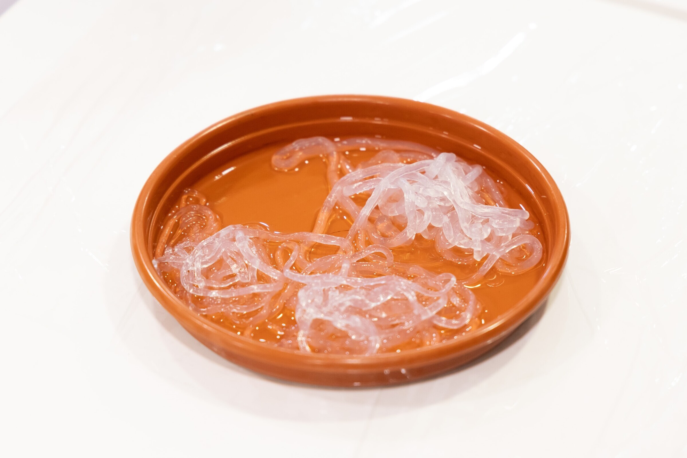 expo____workshop__nature_doesn_t_draw_____em_6786