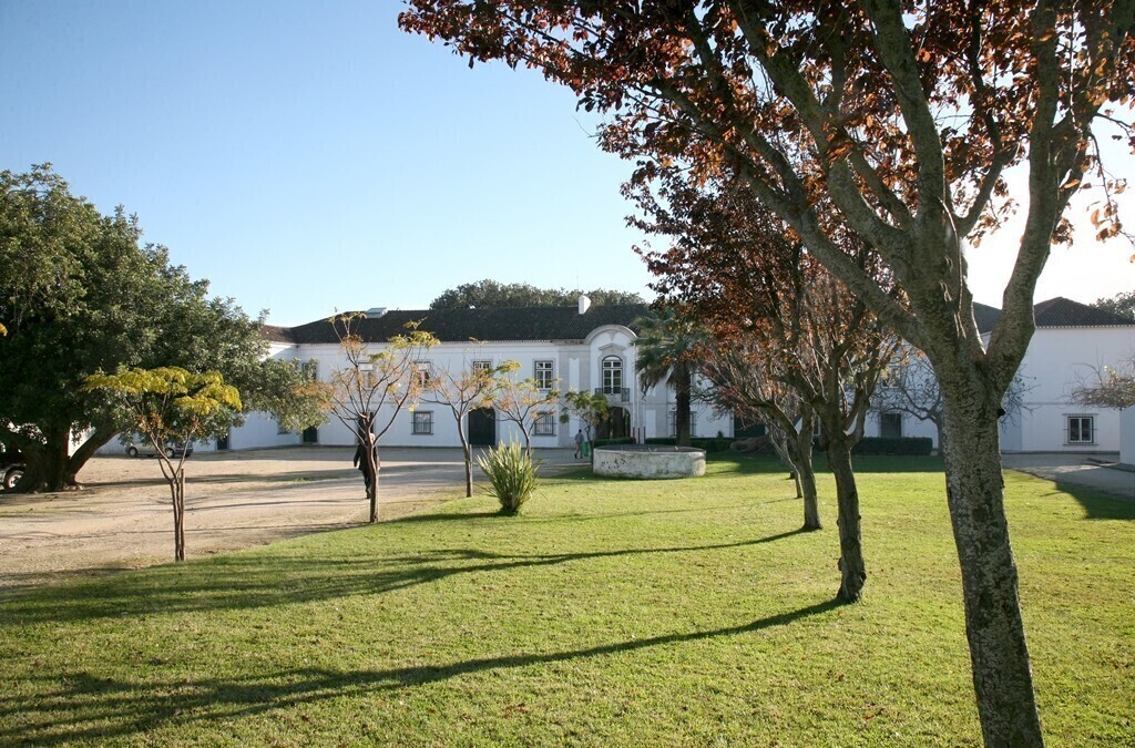 quinta_da_piedade3_1_2500_2500