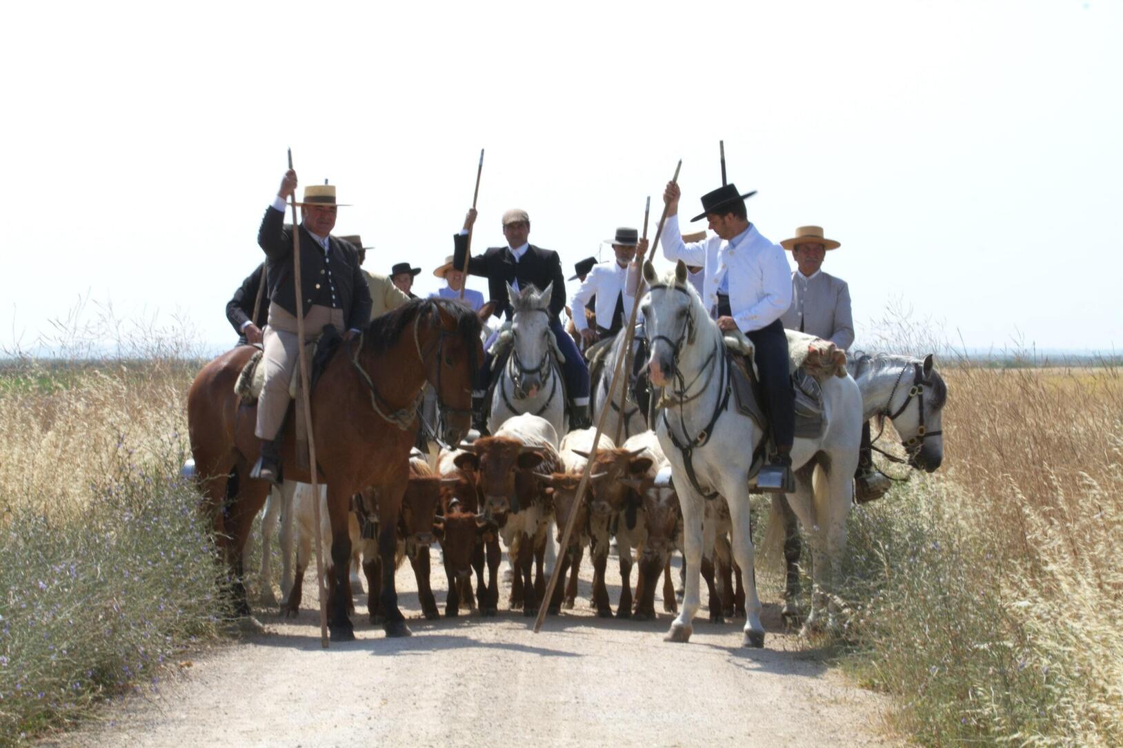 img_5940_m_mestre_min_1_2500_2500