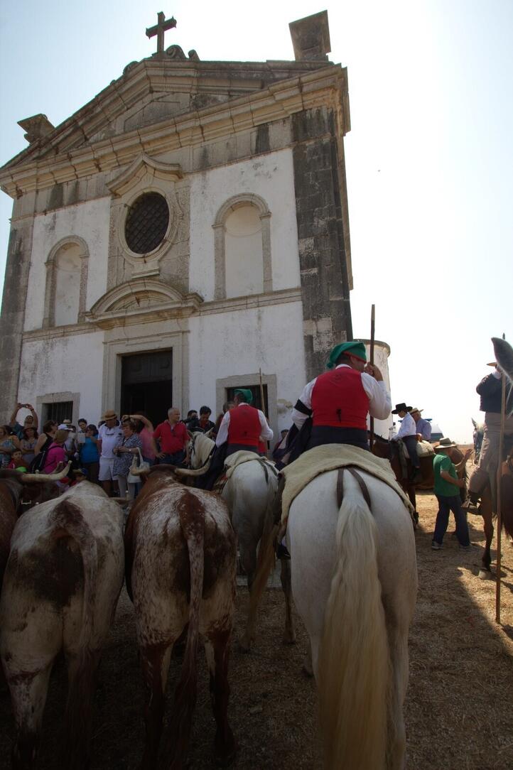 img_5955_m_mestre_min_1_2500_2500