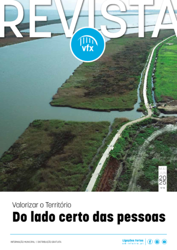 pages_from_vfxrevista_nr14_mai_jun2025
