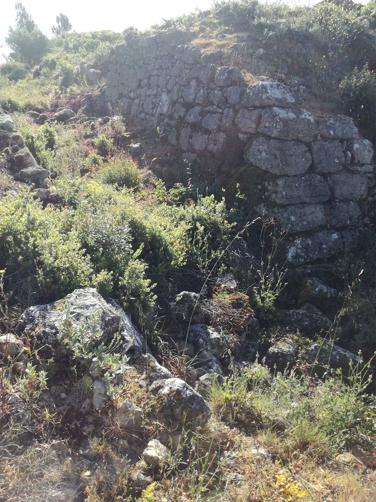 Programa Caminhos com História dá a conhecer o Forte Chão da Oliveira