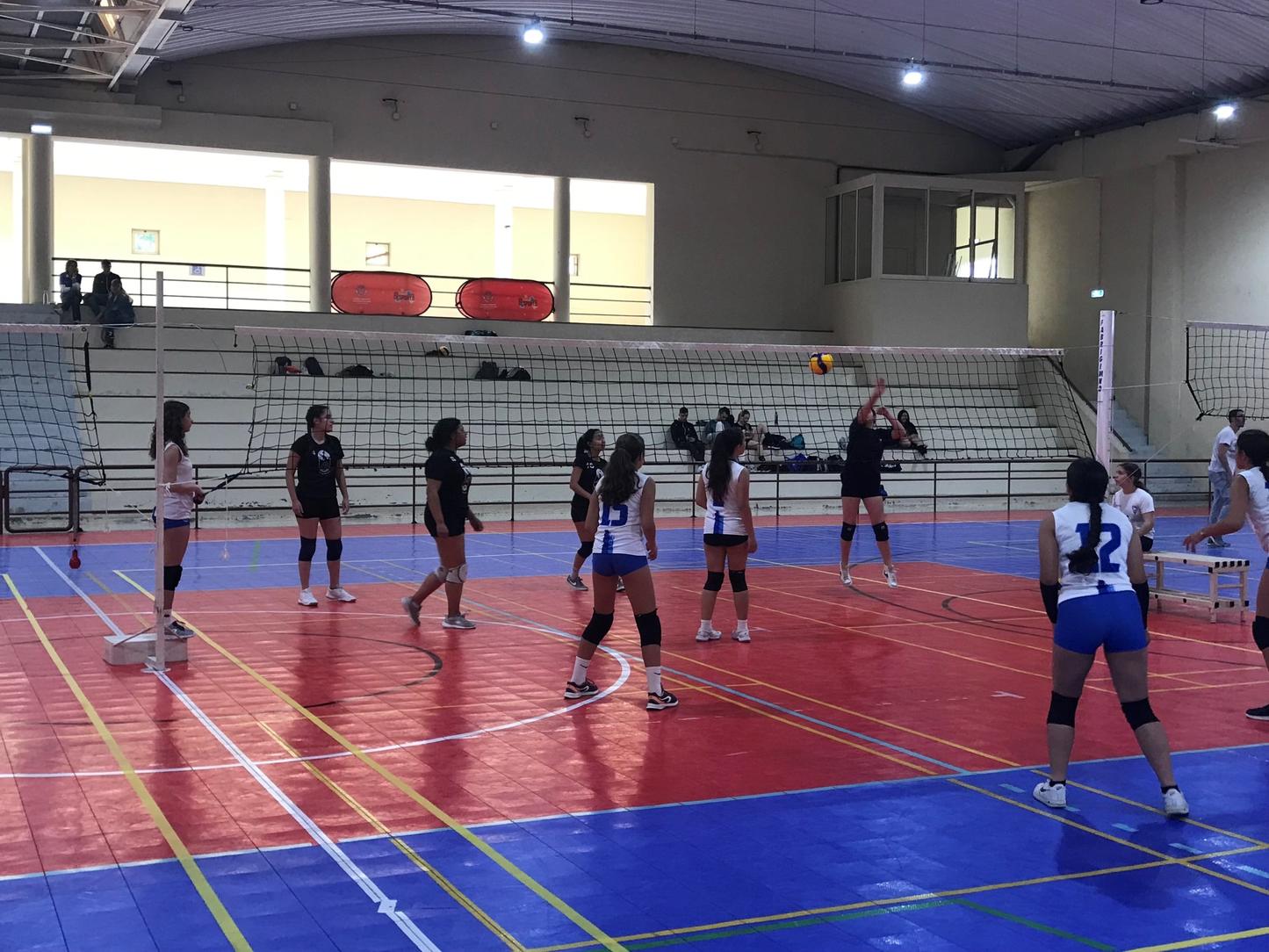 Programa Encontros Desportivos Concelhios Xira 2024 promove encontros de Voleibol e Futsal