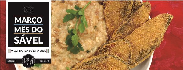 8x3_savel_2026_1_2500_2500