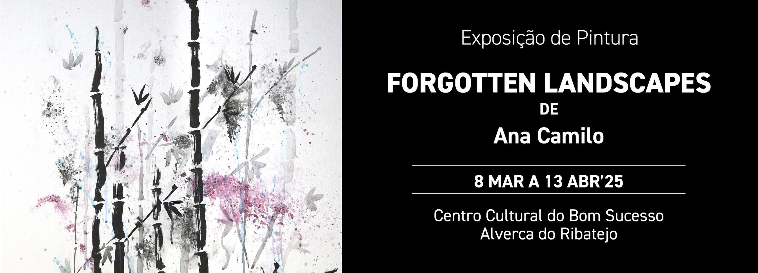 Exposição "FORGOTTEN LANDSCAPES" de Ana Camilo 