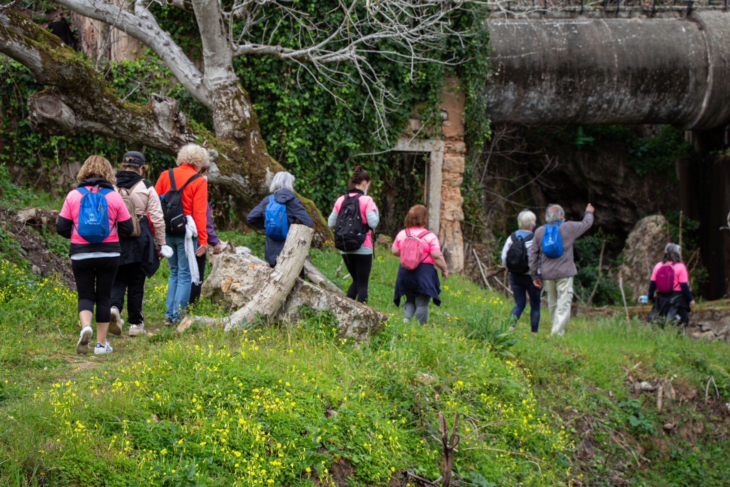 Caminhada “Caminhos com História” leva participantes ao Miradouro das Cachoeiras